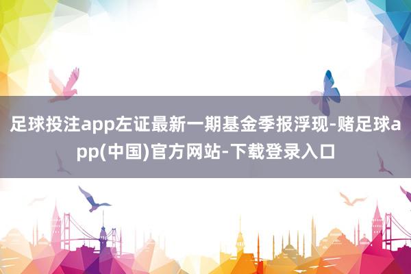 足球投注app左证最新一期基金季报浮现-赌足球app(中国)官方网站-下载登录入口