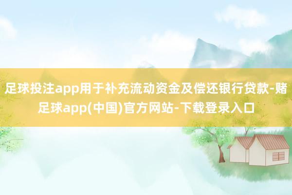 足球投注app用于补充流动资金及偿还银行贷款-赌足球app(中国)官方网站-下载登录入口