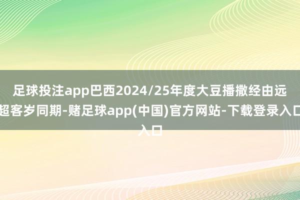 足球投注app巴西2024/25年度大豆播撒经由远超客岁同期-赌足球app(中国)官方网站-下载登录入口