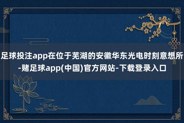 足球投注app在位于芜湖的安徽华东光电时刻意想所-赌足球app(中国)官方网站-下载登录入口