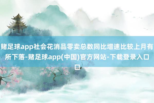 赌足球app社会花消品零卖总数同比增速比较上月有所下落-赌足球app(中国)官方网站-下载登录入口