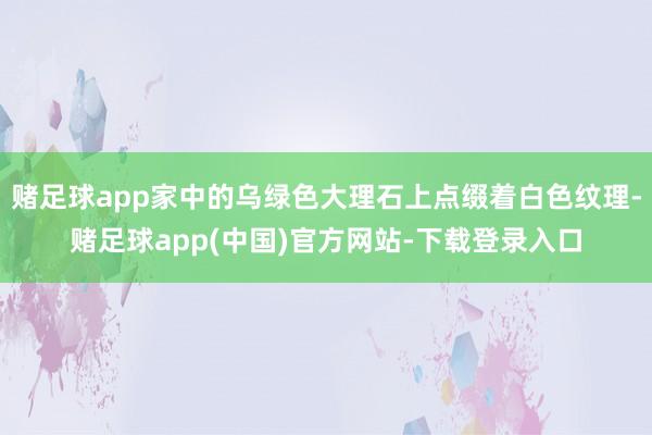 赌足球app家中的乌绿色大理石上点缀着白色纹理-赌足球app(中国)官方网站-下载登录入口