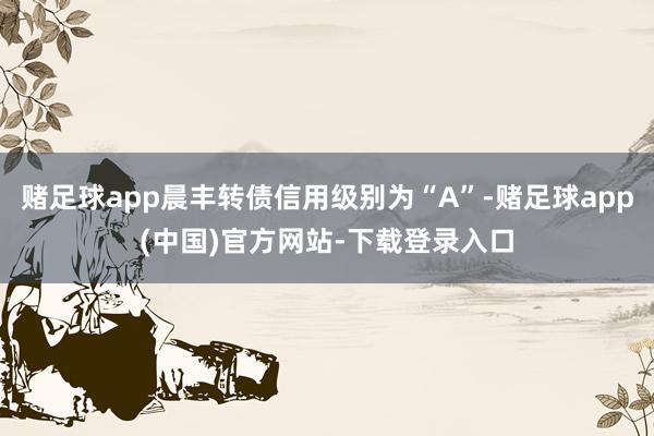 赌足球app晨丰转债信用级别为“A”-赌足球app(中国)官方网站-下载登录入口