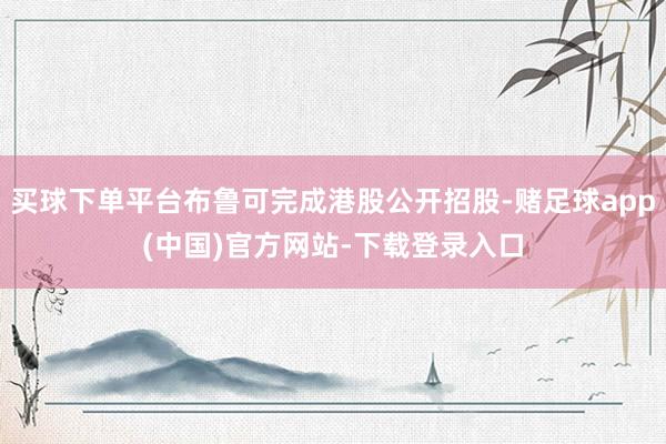 买球下单平台布鲁可完成港股公开招股-赌足球app(中国)官方网站-下载登录入口
