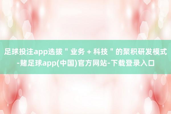 足球投注app选拔＂业务 + 科技＂的聚积研发模式-赌足球app(中国)官方网站-下载登录入口