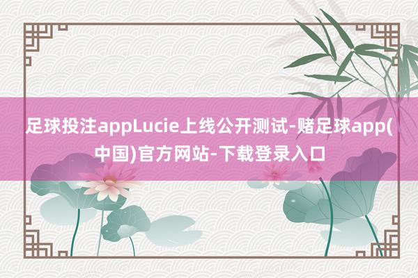 足球投注appLucie上线公开测试-赌足球app(中国)官方网站-下载登录入口