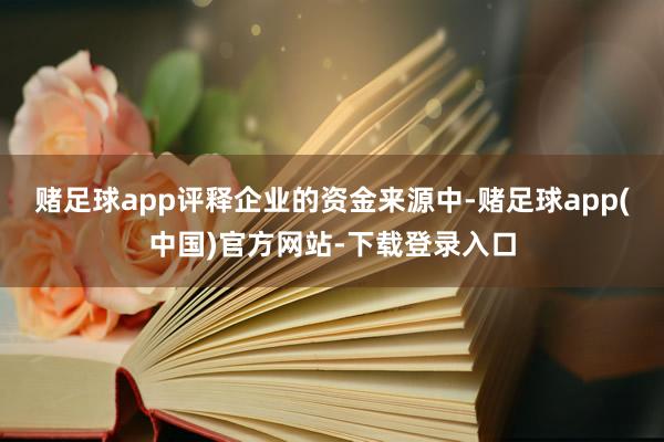 赌足球app评释企业的资金来源中-赌足球app(中国)官方网站-下载登录入口