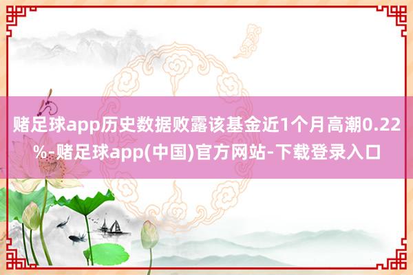 赌足球app历史数据败露该基金近1个月高潮0.22%-赌足球app(中国)官方网站-下载登录入口