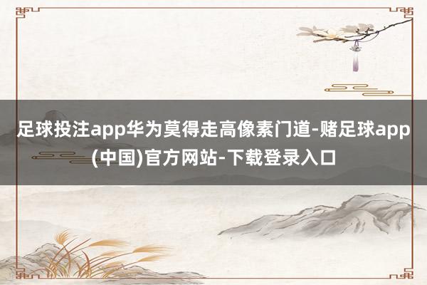 足球投注app华为莫得走高像素门道-赌足球app(中国)官方网站-下载登录入口
